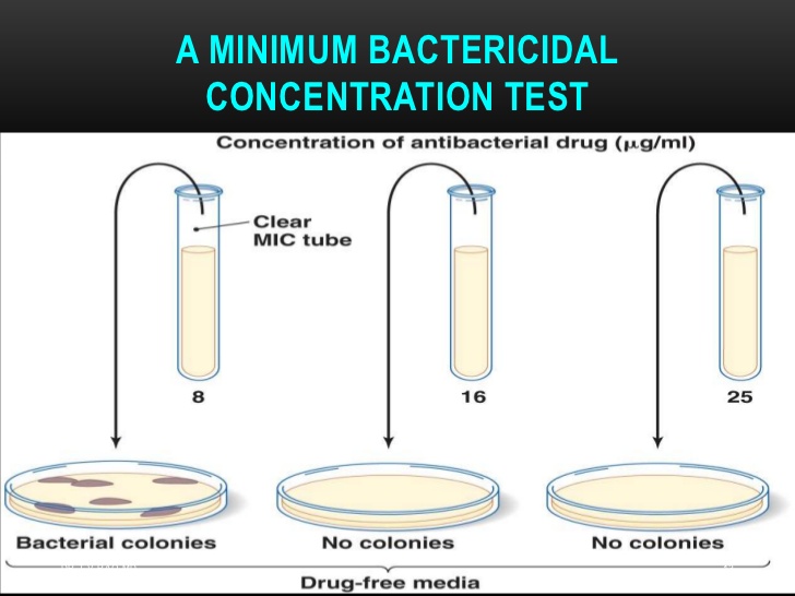 Veterinary GMO Science Blog
