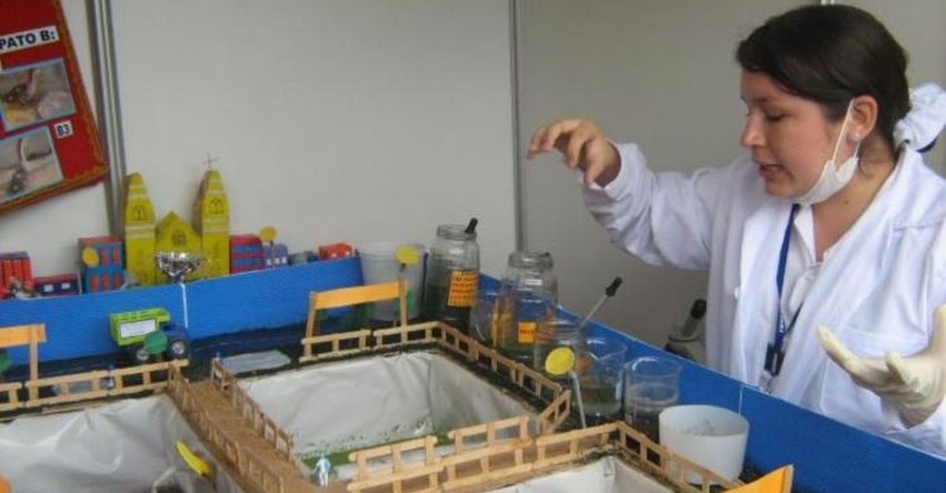 Agencia Andina hablará sobre feria escolar que despierta vocación científica en programa online «Martes Educativo» Agencia Andina hablará sobre feria escolar que despierta vocación científica en programa online «Martes Educativo»