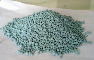 KAKAK MACAN: 7 Cara Merawat Bunga Anggrek