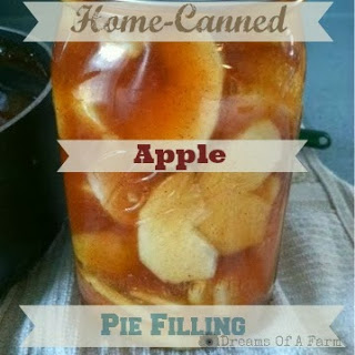 apple+pie+filling | 27 Amazing Apple and Pumpkin Recipes for Fall | 65 |