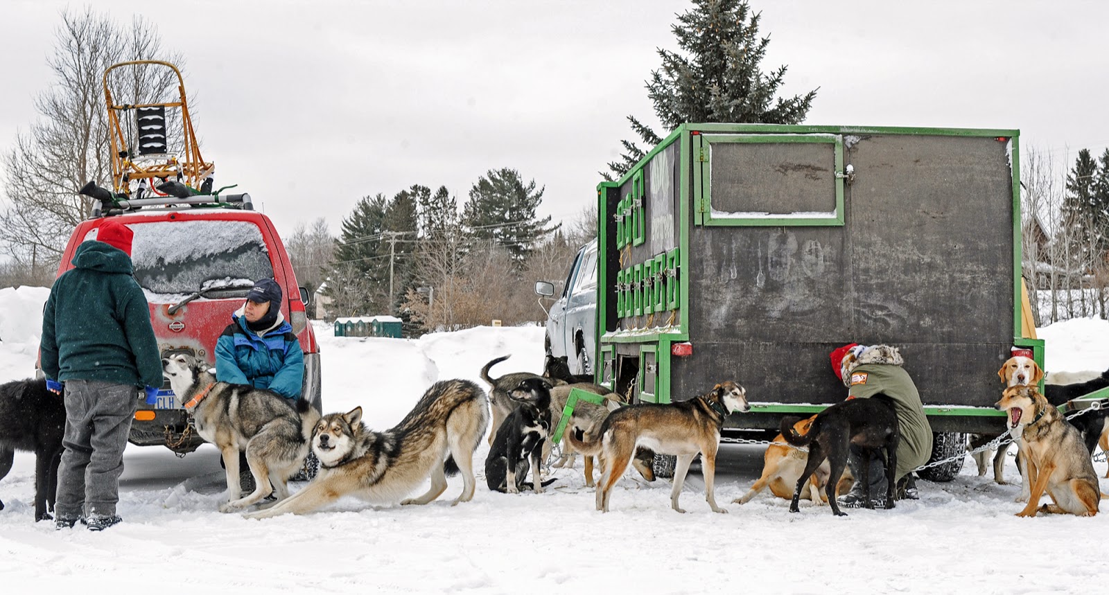 Andrew Potter Photo Blog Dog Sled Race