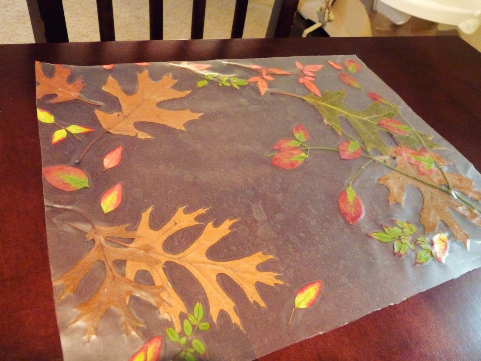 Easy Thanksgiving Placemats To Make