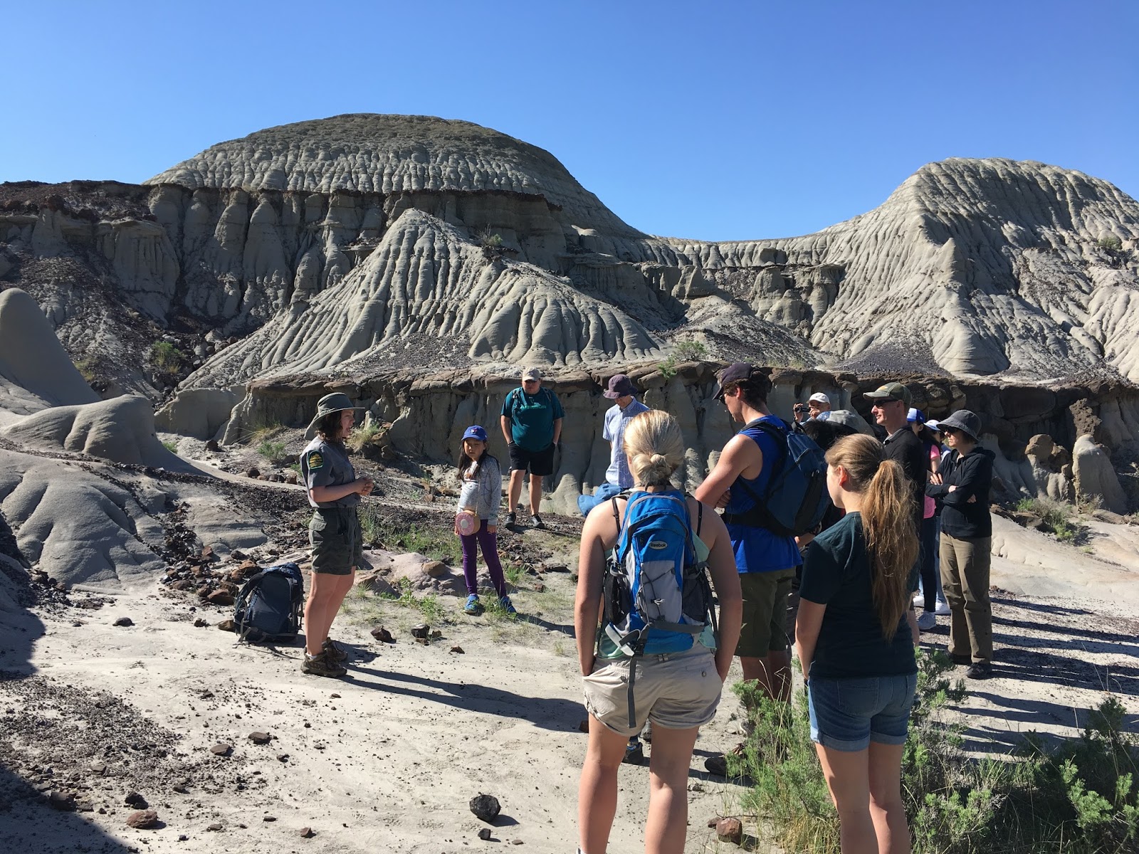 Family Adventures in the Canadian Rockies Fossil Hunting in Dinosaur