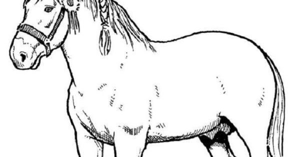 Gambar kuda untuk mewarnai