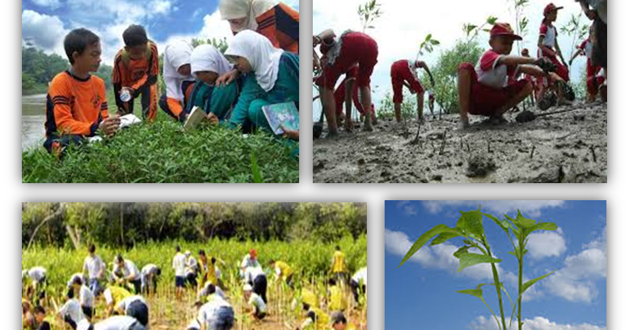 Populer 38+ Alam Gambar Lingkungan Dan Sosial