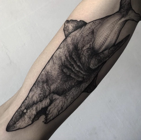Tatuagens de tubarões Tatuagens de tubarões
