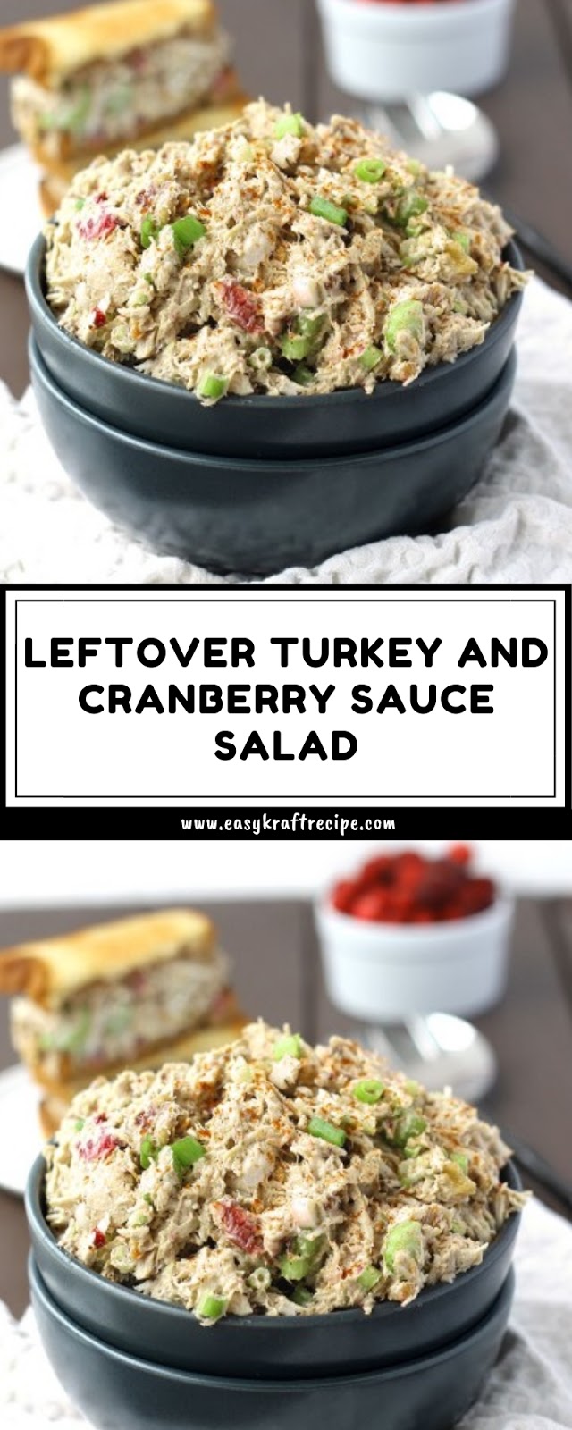 LEFTOVER TURKEY AND CRANBERRY SAUCE SALAD