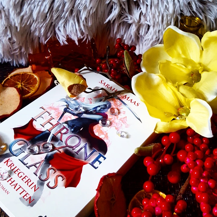 Storyline Rezension Throne of glass Kriegerin im Schatten Storyline Rezension Throne of glass Kriegerin im Schatten