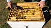 Μελισσοκομικοί Χειρισμοί Φεβρουαρίου