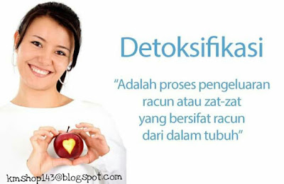 Apa itu detox