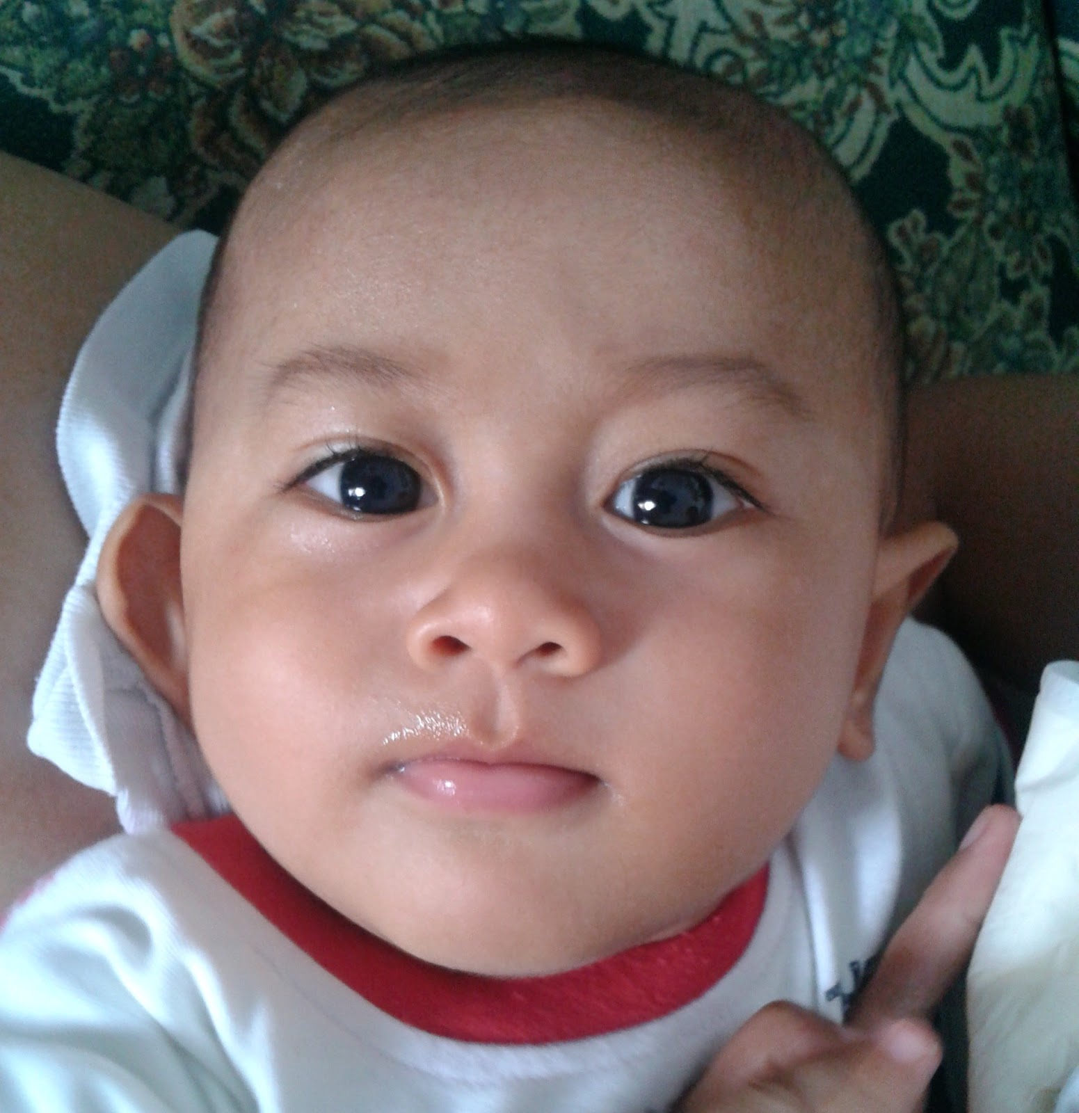All About Baby Resep Makanan Bayi Sehat Usia 6 Sampai 8 Bulan All About Baby Resep Makanan Bayi Sehat Usia 6 Sampai 8 Bulan