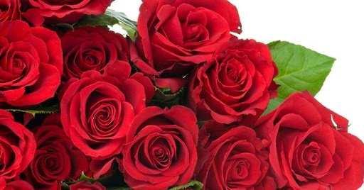 Čestitke za 8. mart Citati i izreke o ljubavi, statusi