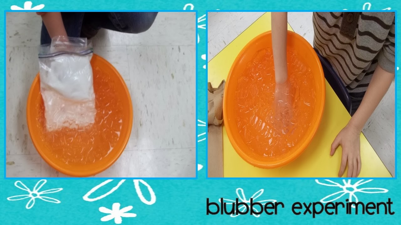 Who's Who and Who's New Polar Fun In Kindergarten