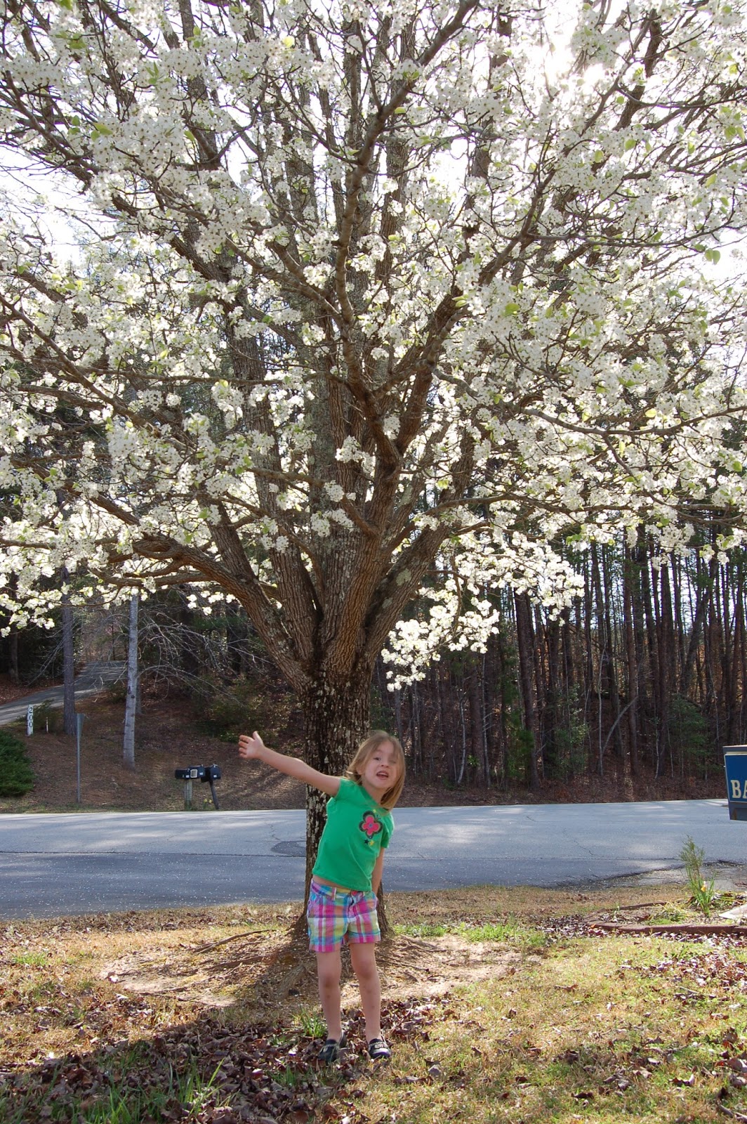 Duck Notes Smell The Flowers (DON'T)