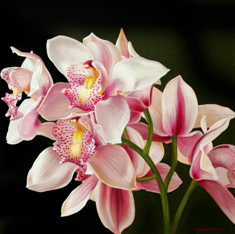 bodegones-con-orquideas-diferentes-colores