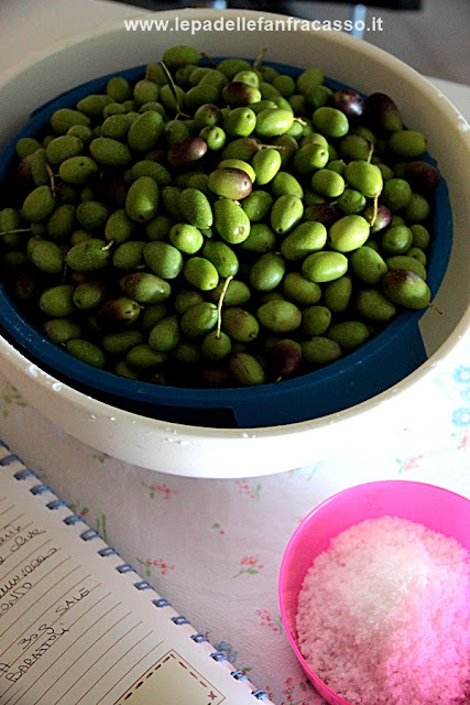 ricetta olive in salamoia