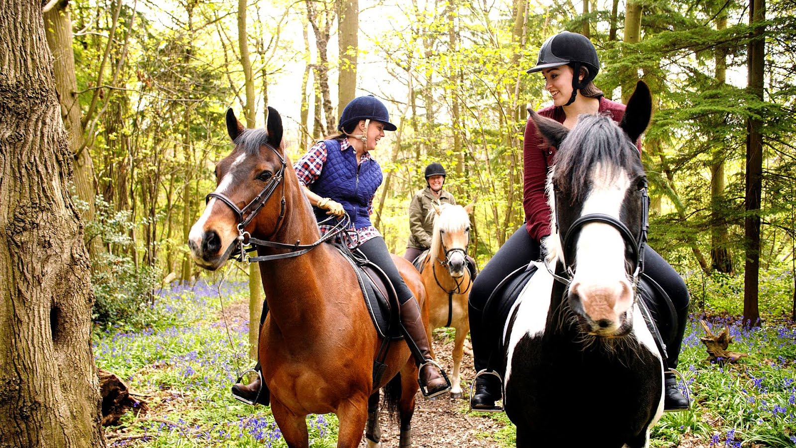 What Do Horse Riders Wear Horse Choices