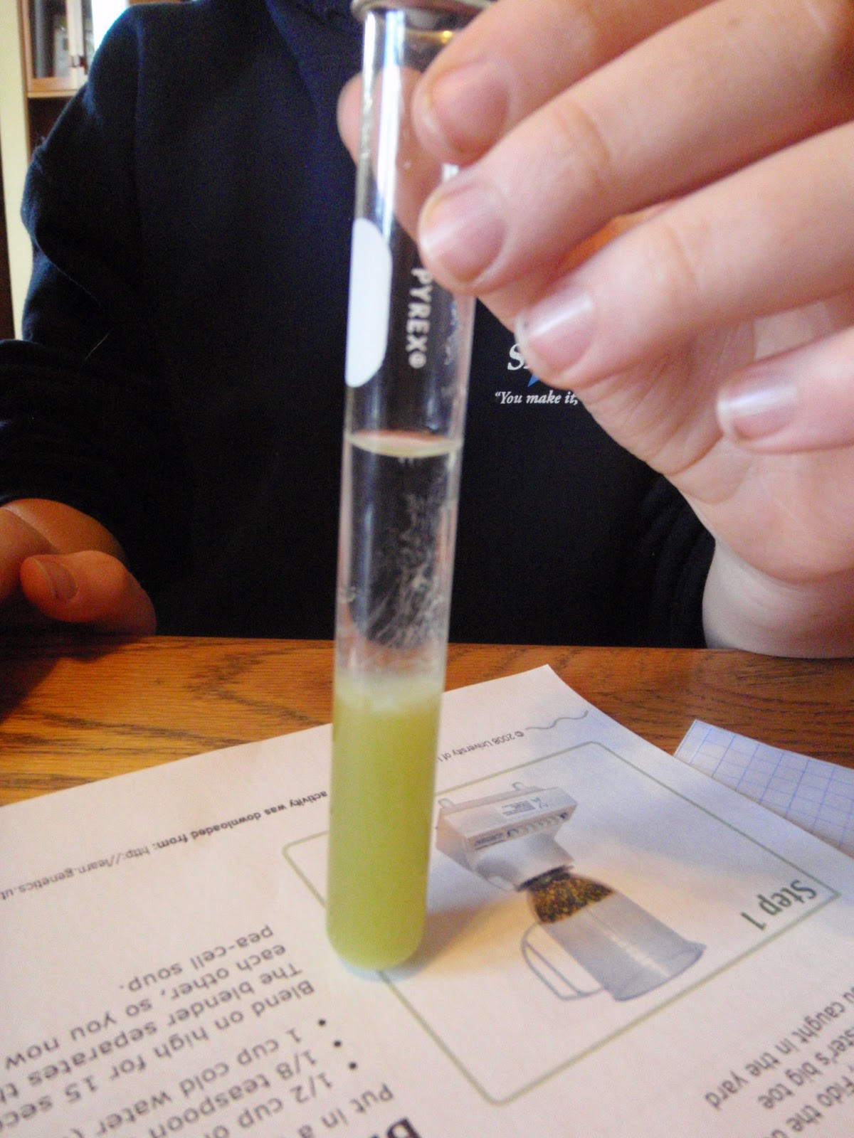 Mountain Laurel Montessori Junior High Students learn to extract DNA