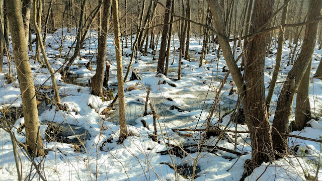 Парк Кіттатінні, Нью-Джерсі (Kittatinny Valley State Park, Newton, NJ)