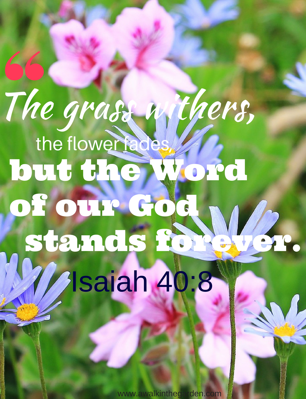 A Walk In The Garden The grass withers, the flower fades...