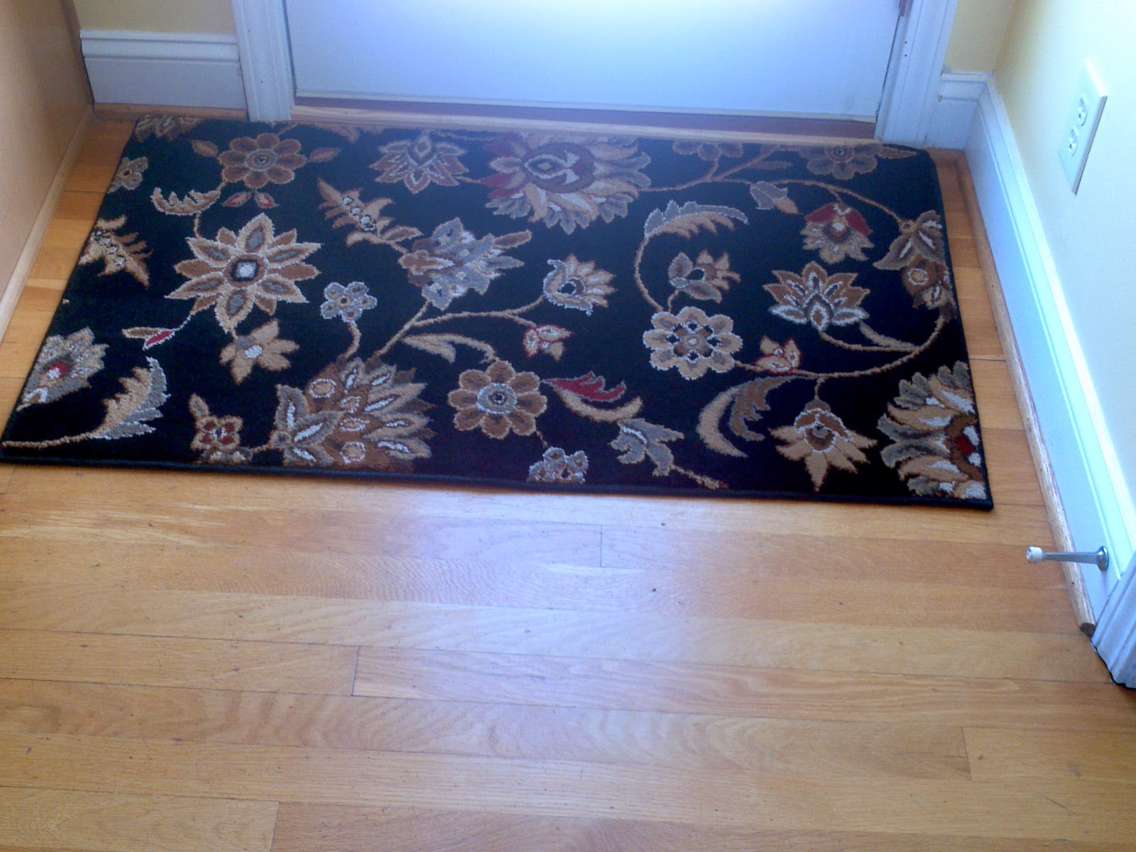 darlaville new rug for back door