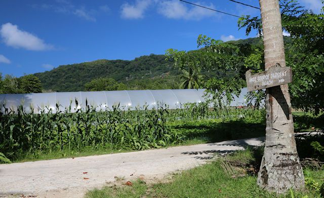 Weg zum Anse Source d'Argent Beach (C) JUREBU Weg zum Anse Source d'Argent Beach (C) JUREBU