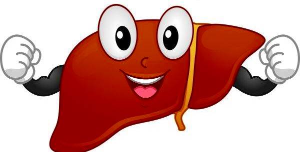 ¿Cómo promover la buena salud y funcionamiento del hígado?