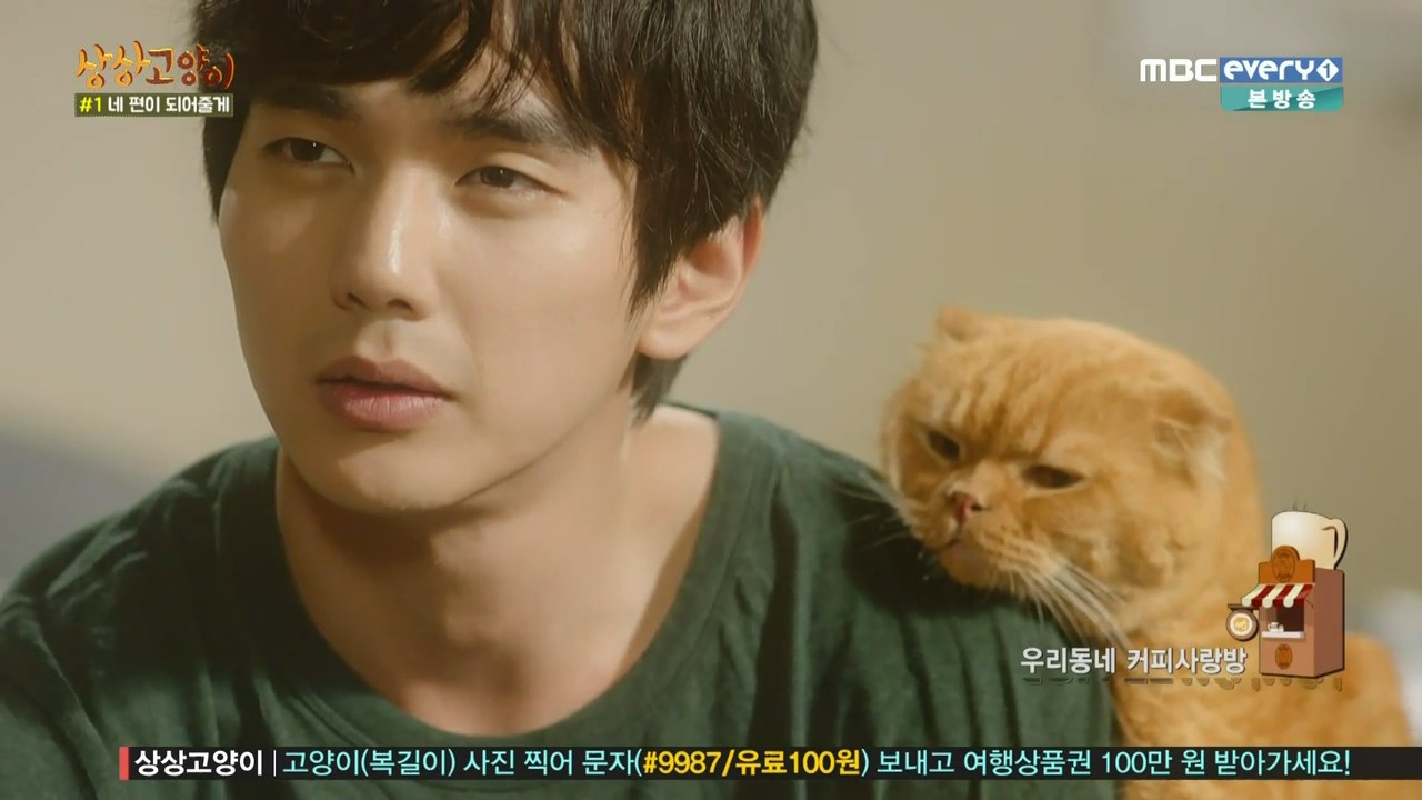Anny's world Imaginary cat (korean drama)