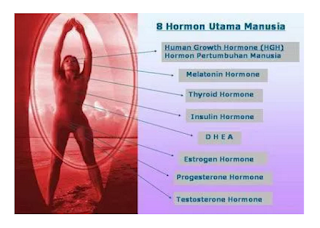 Manfaat  dan Fungsi 8 Hormon Utama Pada Manusia yang Mempengaruhi Seluruh Organ Tubuh, BIOSPRAY terbukti mampu meningkatkan kadar HGH dalam tubuh manusia