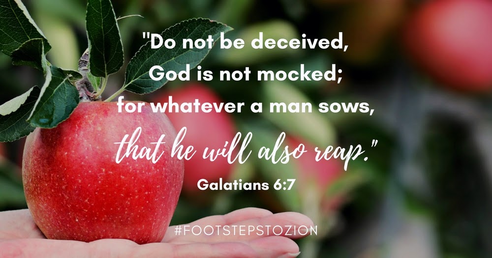 WHAT YOU SOW YOU SHALL REAP