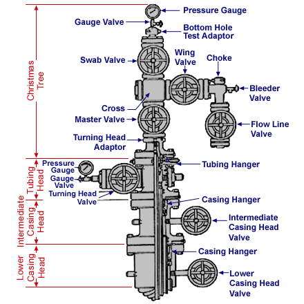 Wellhead Schematic