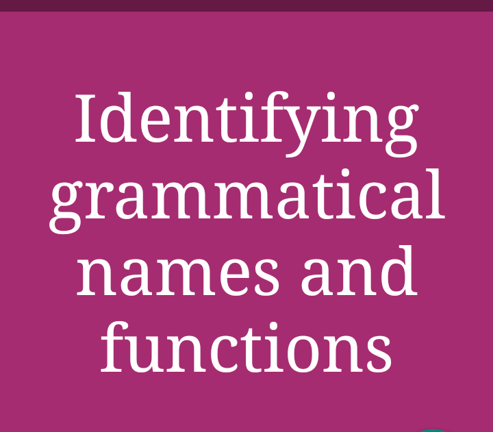 Identifying grammatical names and functions