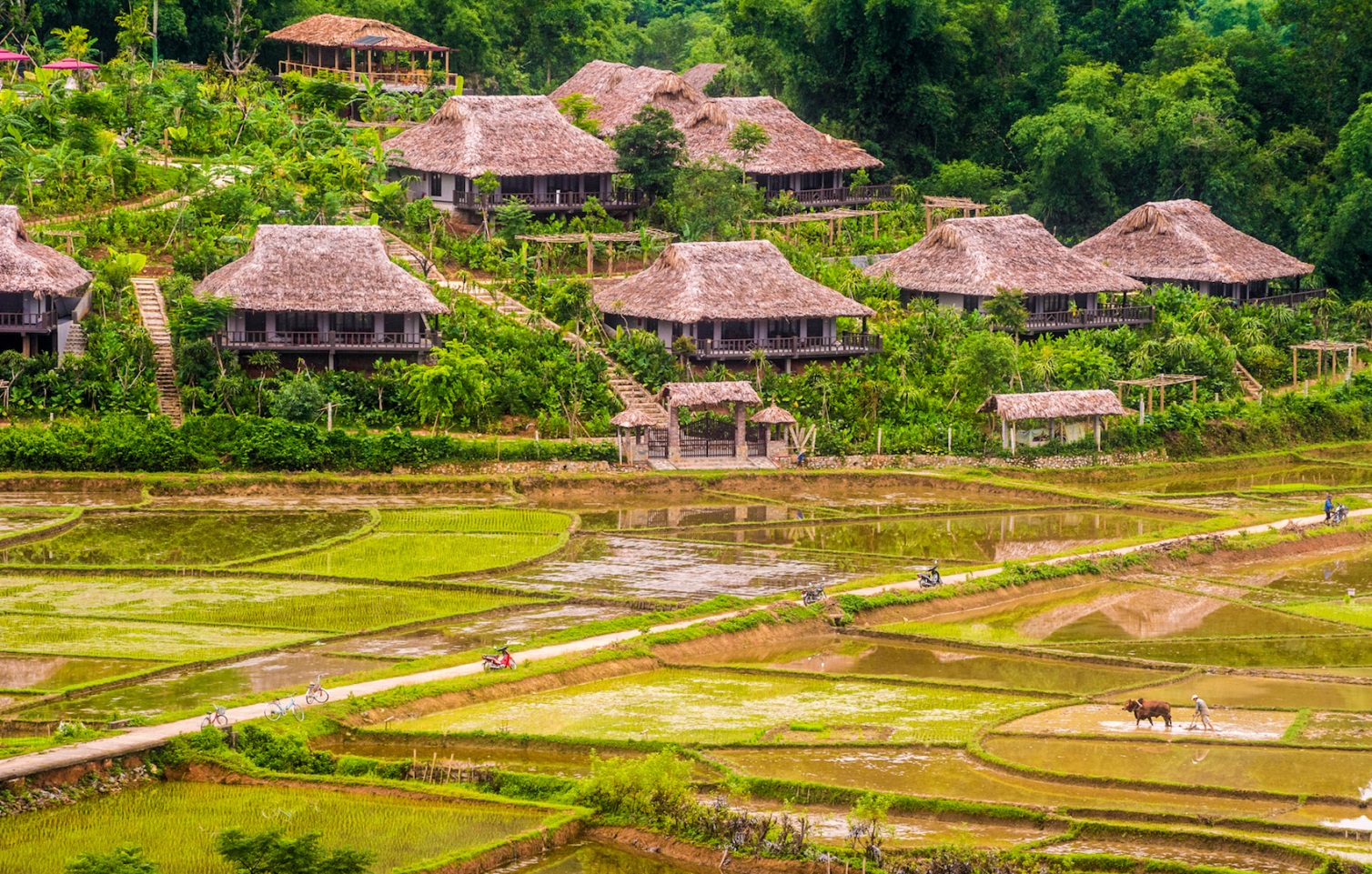 du lịch Mai Châu