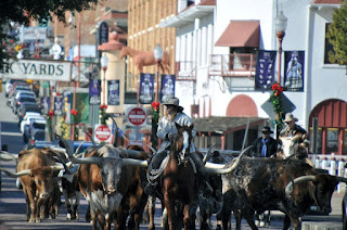 Fort Worth Cattle Drive Longhorn cattle and cowhands walking down city street