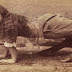 The 10 Real People With Shocking And Extreme Deformities