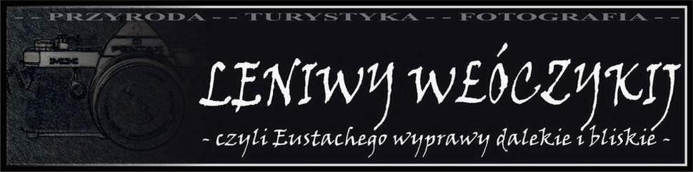 Leniwy włóczykij