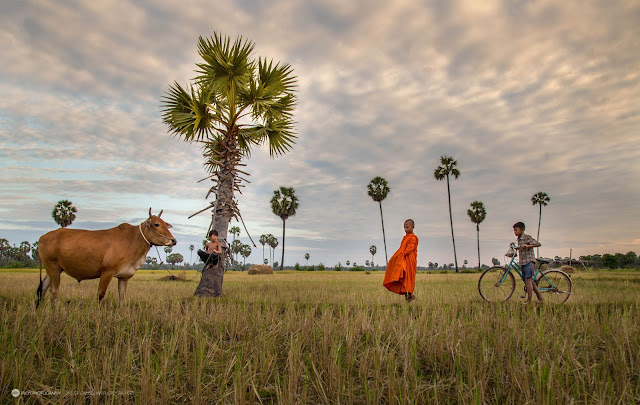Rural boys and Cambodia