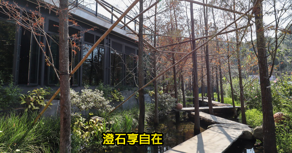 台中北屯|澄石享自在生態園區|走木棧道進入落羽松秘境|享受輕鬆自在 台中北屯|澄石享自在生態園區|走木棧道進入落羽松秘境|享受輕鬆自在