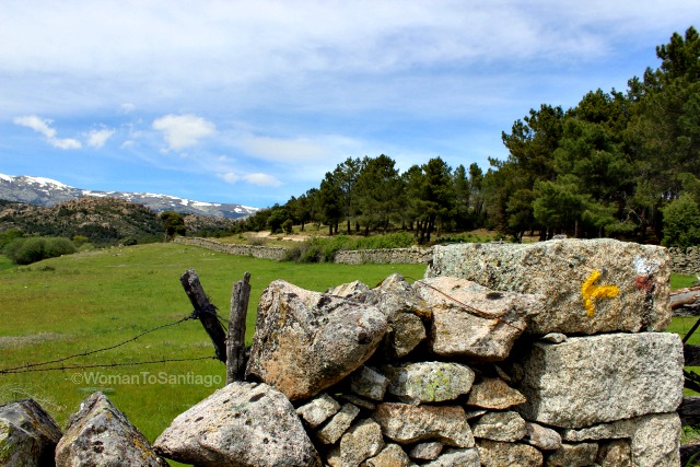 camino-de-santiago-madrid.jpg