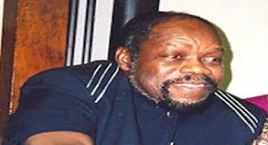 DIM CHUKWUEMEKA ODUMEGWU OJUKWU