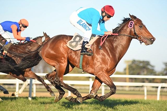 Sweet Days corre el Clásico Southern Halo en San Isidro Sweet Days Harlan's Holiday