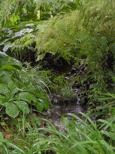 Stream and Bog Garden , woda w ogrodzie