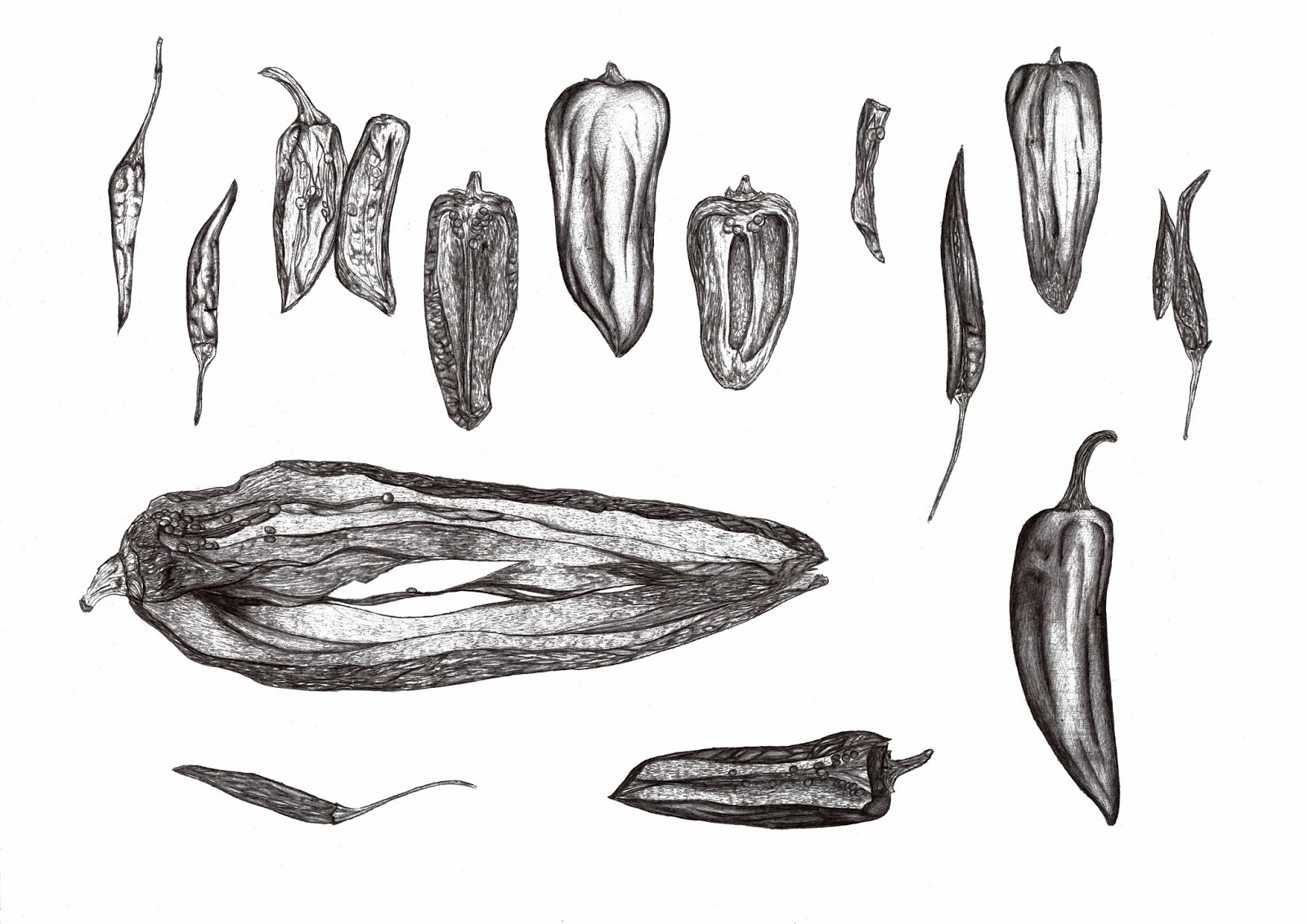 Abbie Cooper Chilli's In Biro.