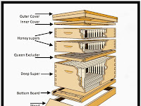 Bee Diagram Bee Diagram