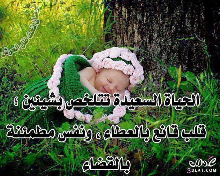 صورة