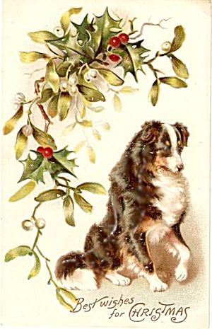 Notforgotten Farm : ~ On Christmas Eve