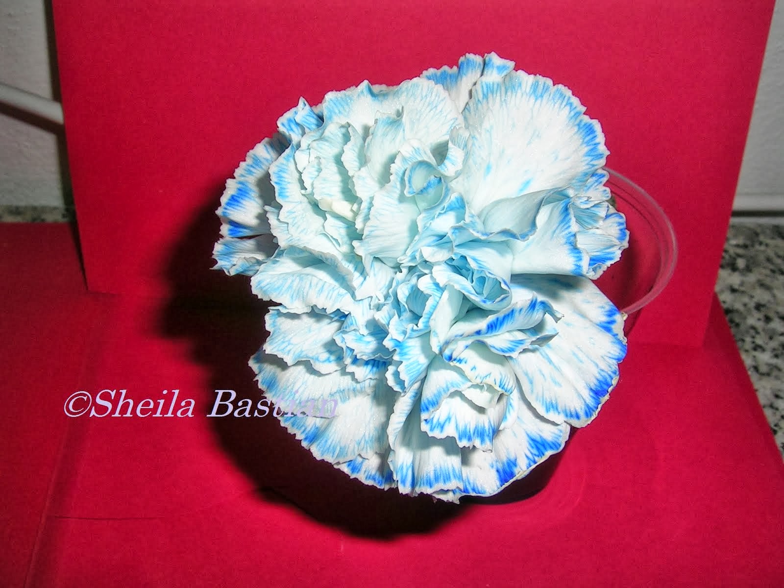 A carnation left in blue ink