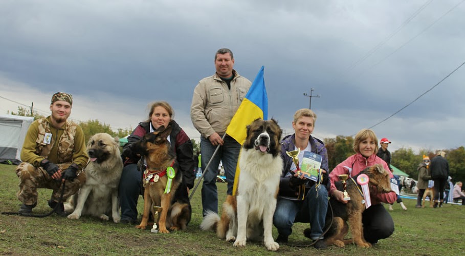 Клуб собак