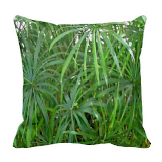 Bamboo throw pillow