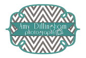 Amy Dillingham Photography